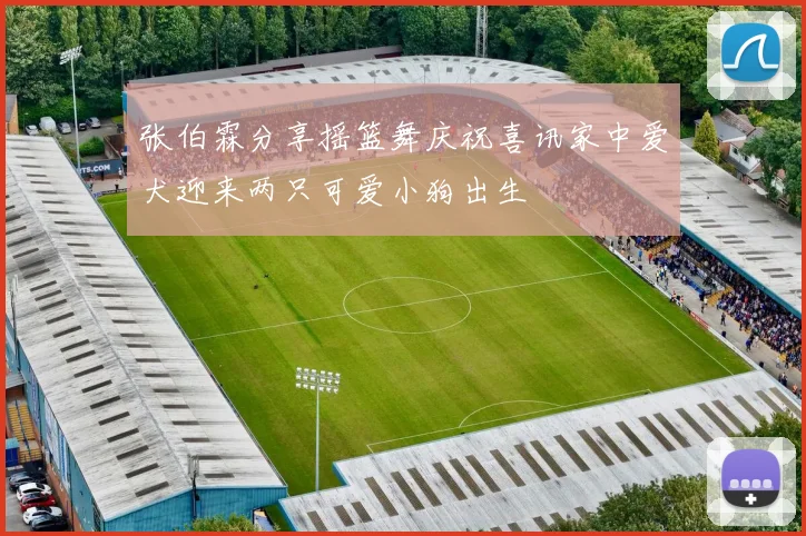 张伯霖分享摇篮舞庆祝喜讯家中爱犬迎来两只可爱小狗出生